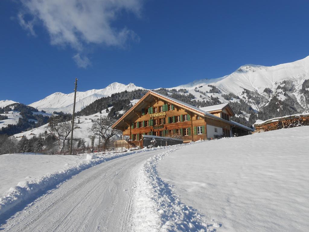 Terminus Reinisch Appartement Frutigen Buitenkant foto